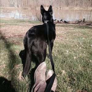 Meet your Posher, Rachel